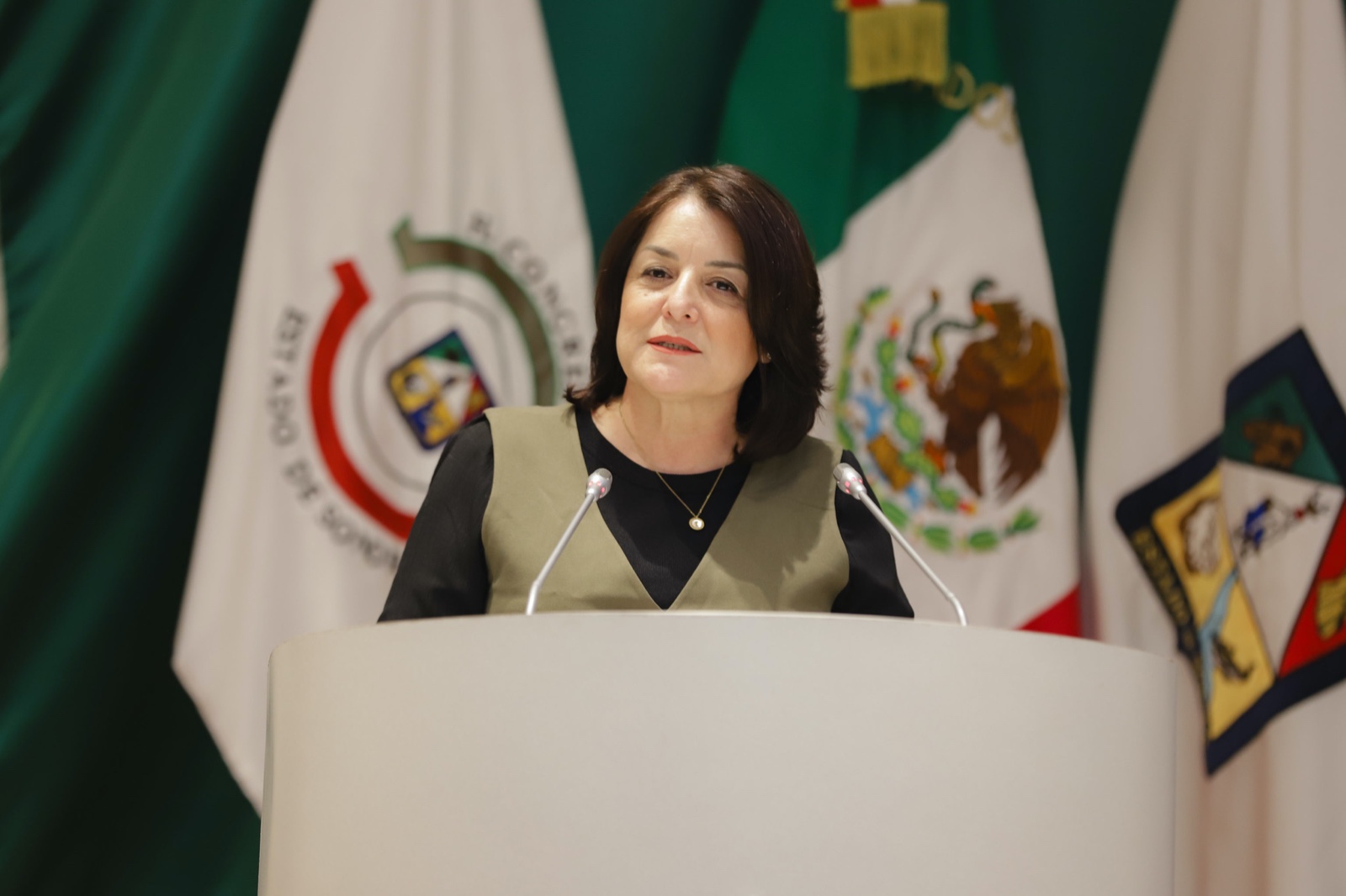 Impulsa "Ley Monse" diputada Gabriela F&eacute;lix 