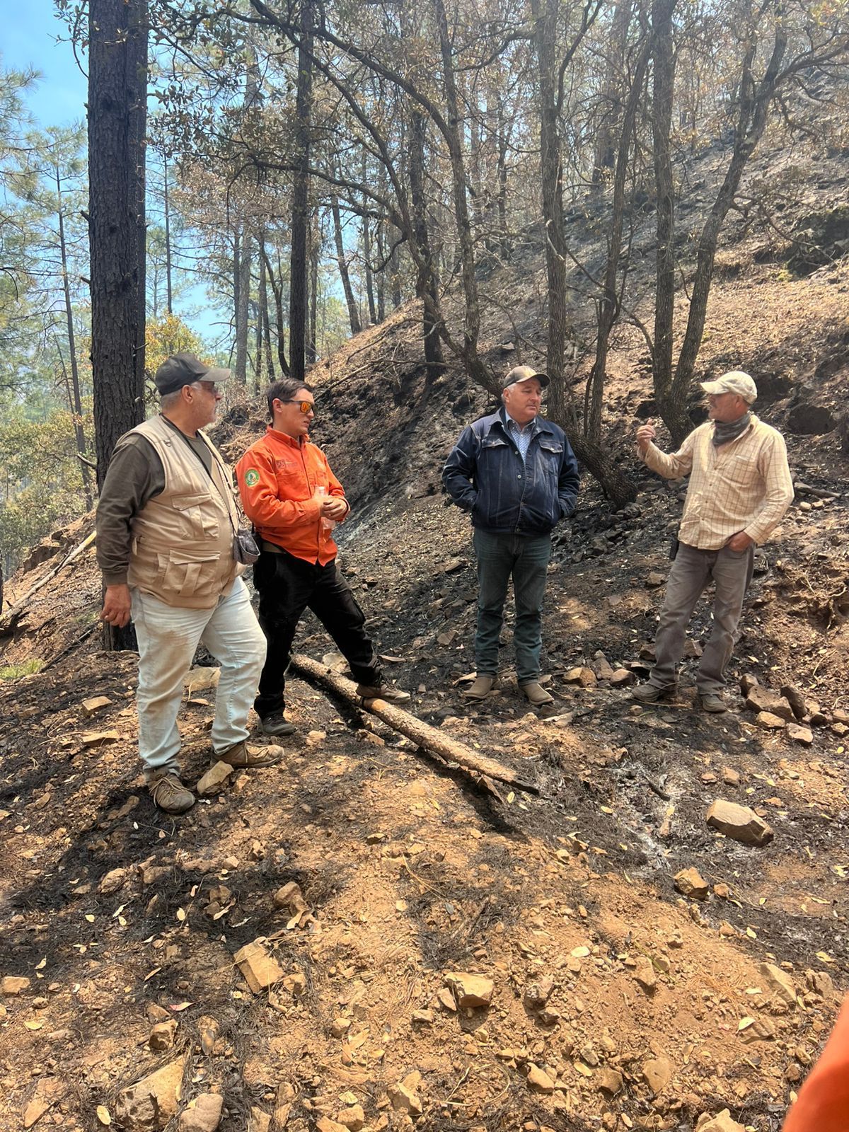 Se alcanza 50 por ciento de control en el incendio forestal de Nácori Chico 