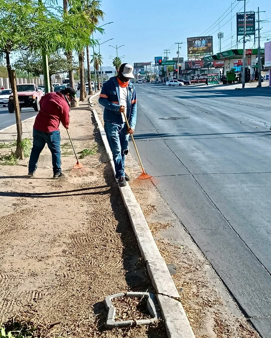 El Programa "Bulevareando" en Hermosillo, es mantener las aéreas verdes limpias 