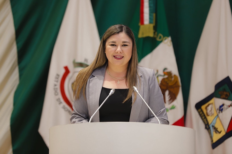 Promueve diputada Jazm&iacute;n G&oacute;mez garantizar atenci&oacute;n inclusiva en salud mental