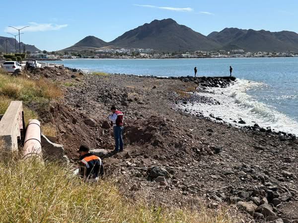 Gobierno de Sonora verifica calidad sanitaria en playas de San Carlos conforme a norma federal 